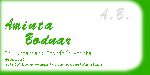 aminta bodnar business card